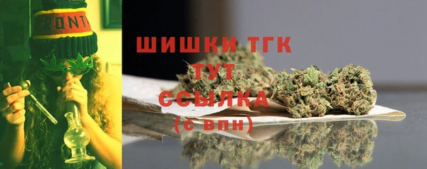 шишки Абаза