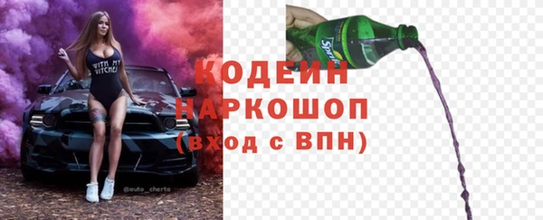 шишки Абаза