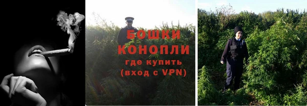 шишки Абаза