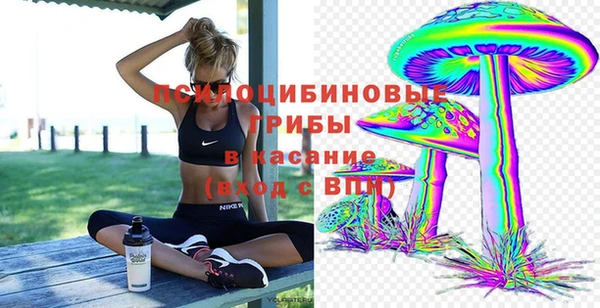 шишки Абаза