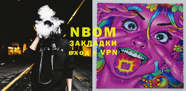 крисы Новозыбков