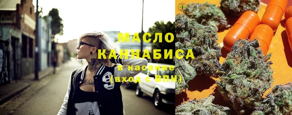 шишки Абаза