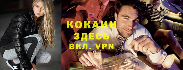 шишки Абаза