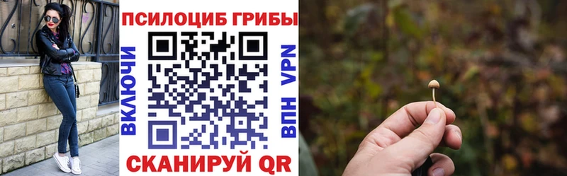 как найти закладки  Туран  Галлюциногенные грибы прущие грибы 