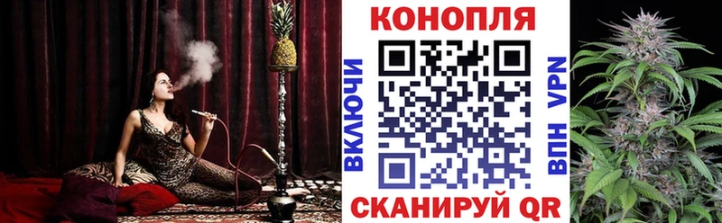 Бошки Шишки Bruce Banner  Туран 